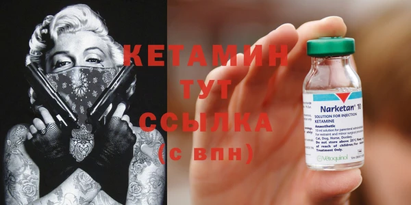 твердый Аркадак