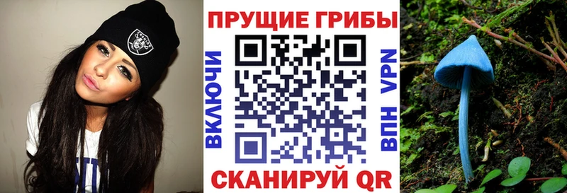 Псилоцибиновые грибы Psilocybine cubensis omg рабочий сайт Пестово